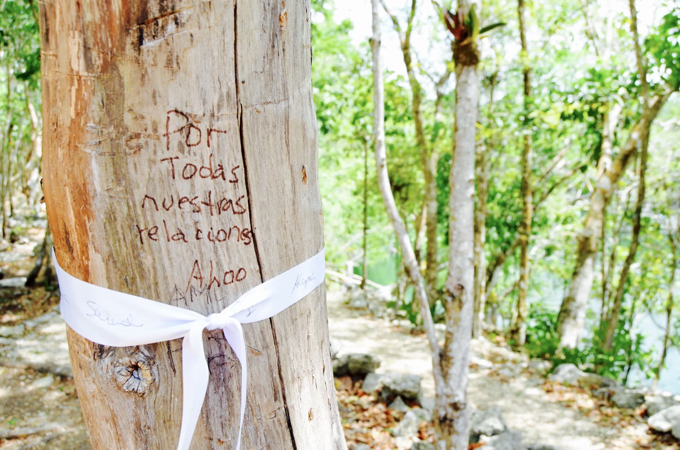 Encuentro Mujer Raíz Riviera Maya México